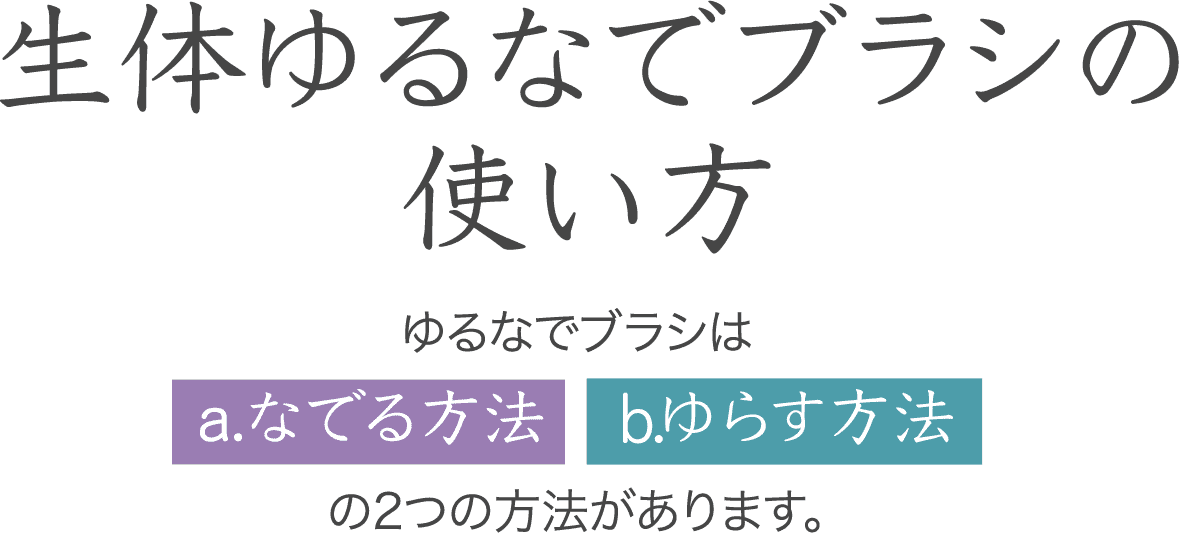 生体ゆるなでブラシの使い方