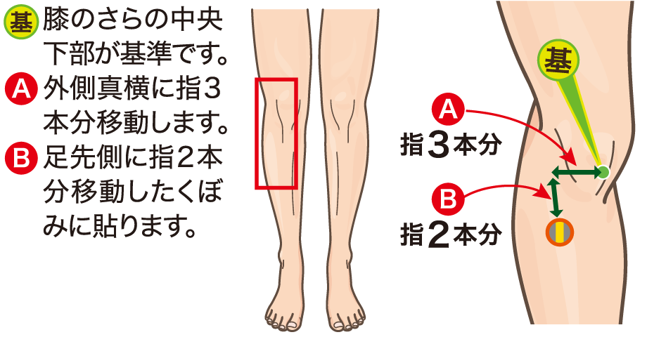 膝下の外側に貼る位置の図