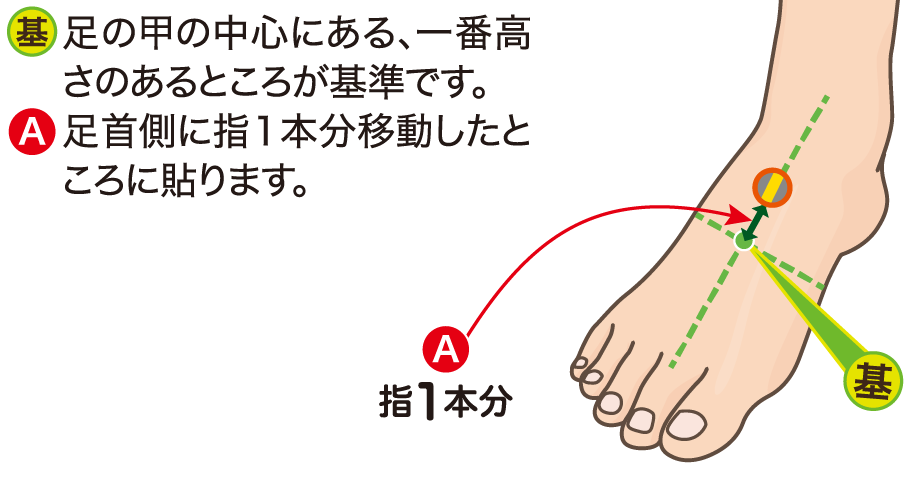 足の甲 足首側に貼る位置の図