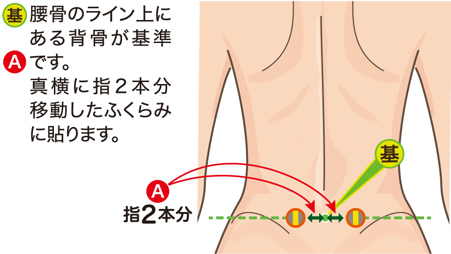 腰に貼る位置の図