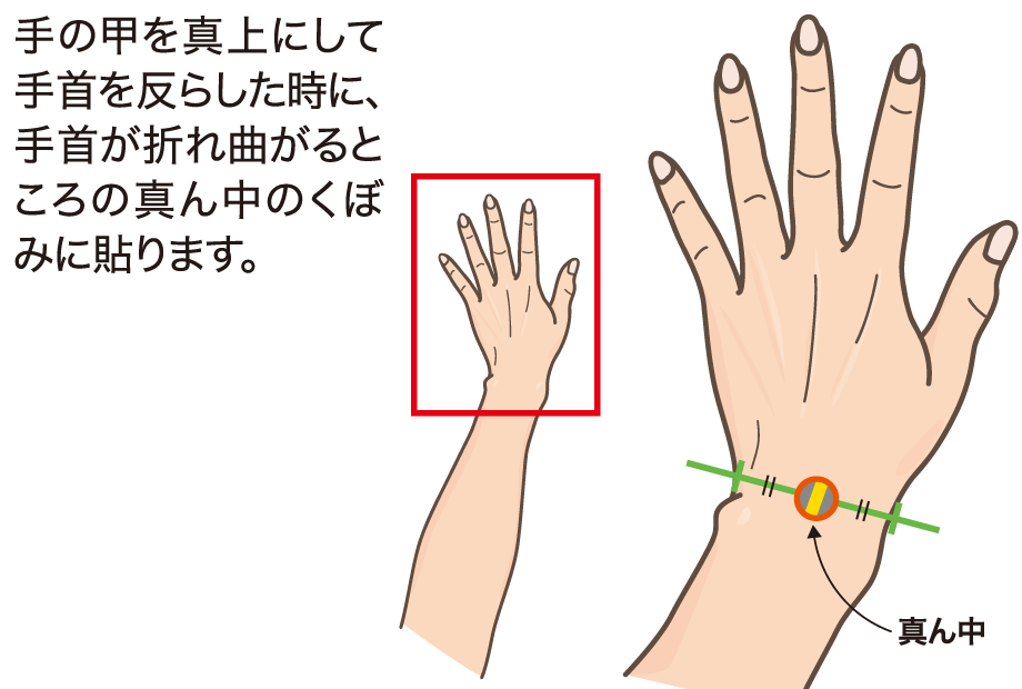 手首に貼る位置の図