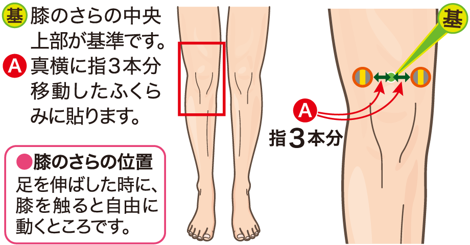 膝上に貼る位置の図