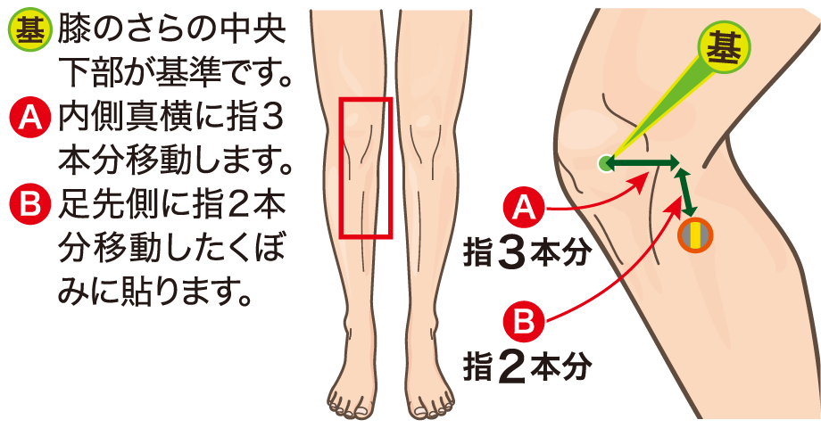 膝下の内側に貼る位置の図